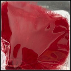 Marabou (Strung) Red